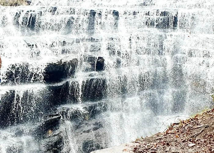 Casa Alseda En Merindades * Salazar